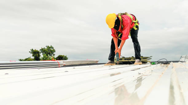 Best Solar Panel Roofing Installation  in Burt, MI