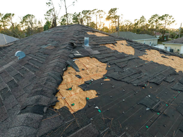  Burt, MI Roofing Pros