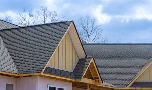 Best Roof Moss and Algae Removal  in Burt, MI